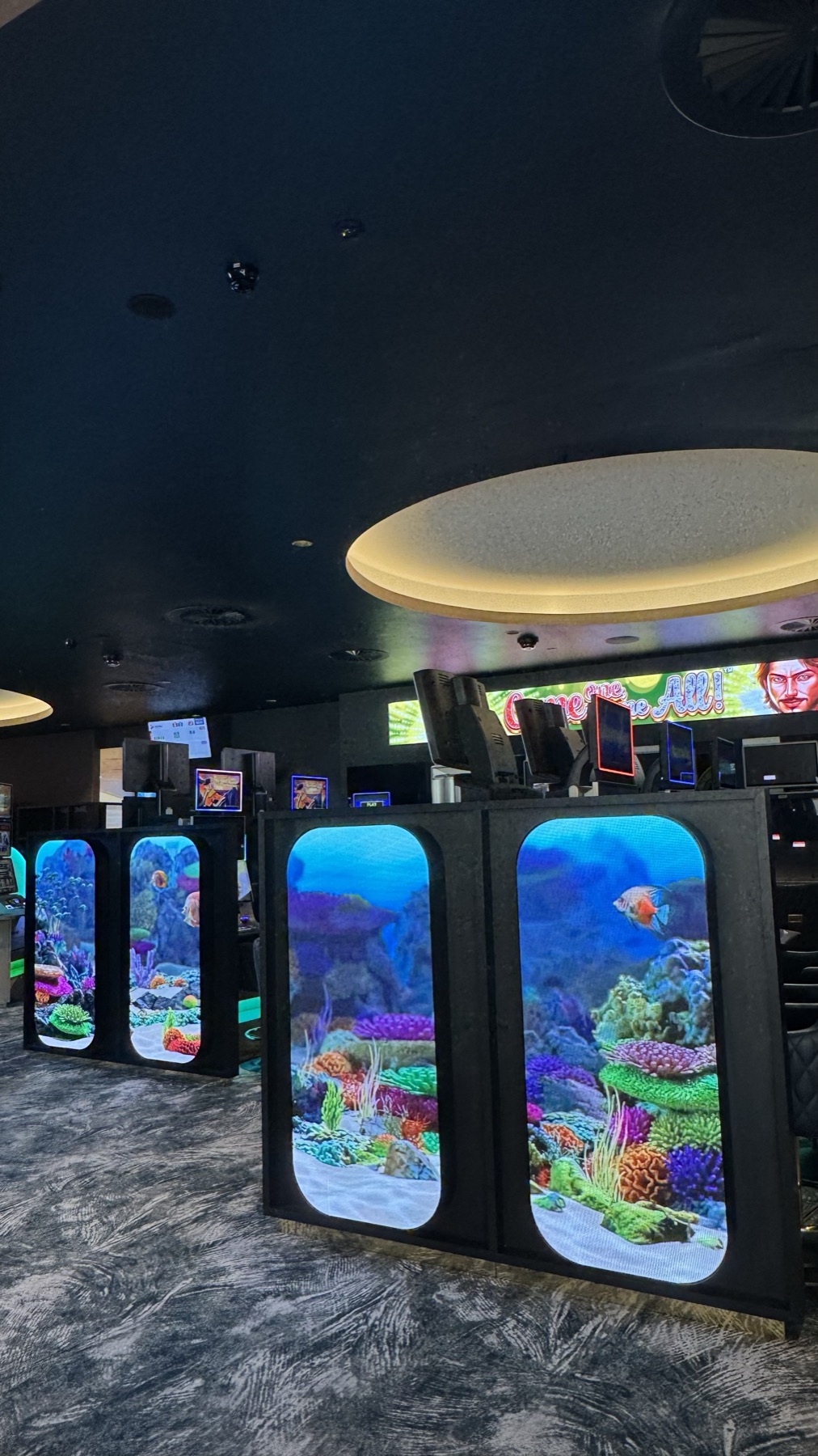 Two arched LED portals on a pillar showing a coral reef, beneath a lit circular ceiling cove